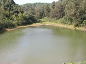 （圖）花箐水庫