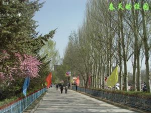 青海建築職業技術學院