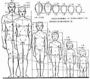 不同年齡的兒童身材比例是不同的