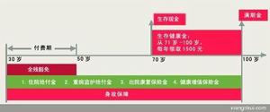 友邦保險康安一生兩全保險