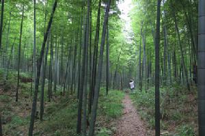 株山灣風景區