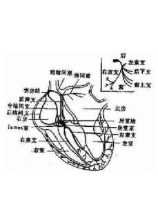 神經官能症