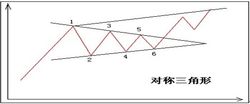 三角形整理形態