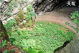 上方山國家森林公園