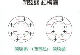 超弦與多維空間