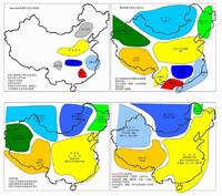 分子人類學