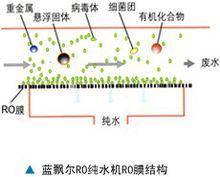 藍飄爾