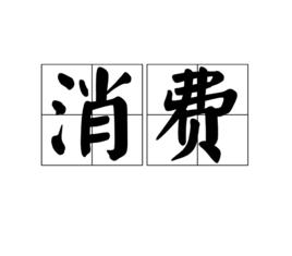 消費[經濟學名詞]