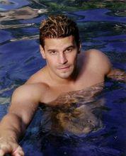 David  Boreanaz