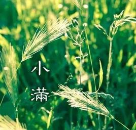 小滿[左河水的詩作]