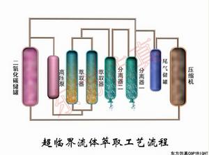 超臨界流體萃取