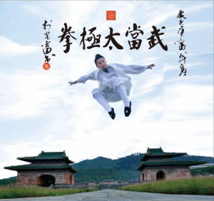 《武當氣功太極拳》