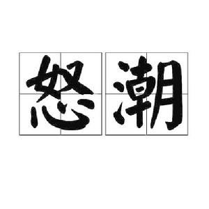 怒潮[詞語概念]