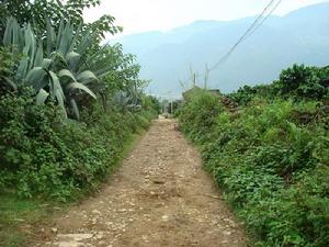 回行自然村通村道路