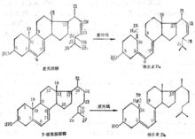 維生素D