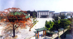 佛山市南海區九江中學校園