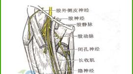 股外側皮神經卡壓綜合徵