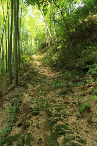 梅山嶺古道