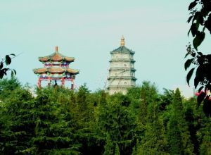 香港湛山寺