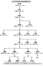 任氏鈞瓷世家傳承譜系表