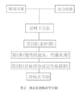 （圖）撞擊征的病理學分析