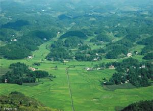 利川市[中國]