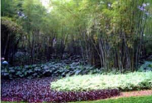 千佛洞國家森林公園