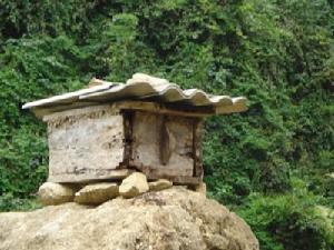 下壩戶村特色產業-養殖業-養蜂