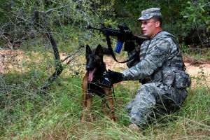 軍犬國家紀念碑