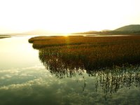 雲蒙湖