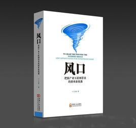 風口[何豐源創作的創業理論作品]