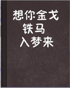 想你金戈鐵馬入夢來