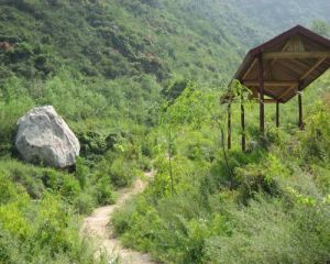 佛頭山風景