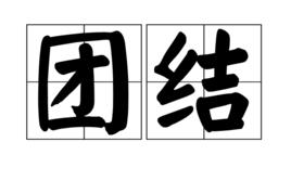 團結[漢語詞語]