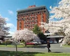 紐西蘭林肯大學春天景色一瞥