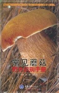 常見蘑菇野外識別手冊