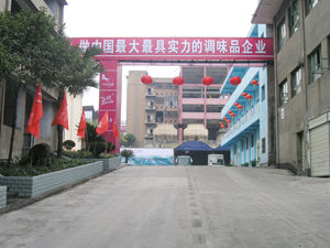重慶昊元生物產業集團