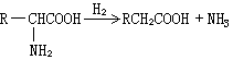 氨化氧化