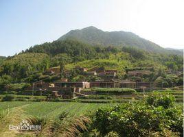 廣橋村[福建泉州市洛江區羅溪鎮下轄村]