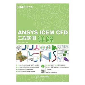 ANSYS ICEM CFD工程實例詳解