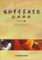 現場審計實施系統實用手冊(2005版)