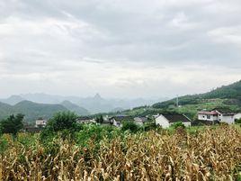 茶園坪村[湖南湘西州花垣縣邊城鎮下轄村]