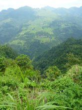 美麗的紫林山