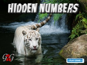 白老虎找數字