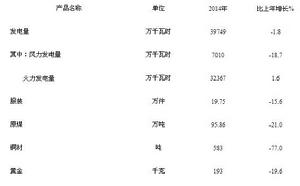 規模工業企業主要工業產品產量