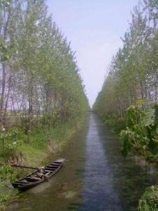 愛民村[江蘇省南京市溧水區東屏鎮下轄村]