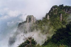 明月山國家森林公園