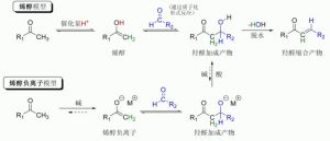 羥醛反應的概括