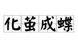 化繭成蝶[漢語詞語]