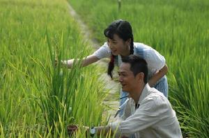 （圖）獻禮片《袁隆平》精彩劇照